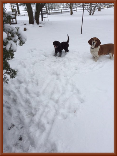 Autumn and Gretchen in Snow